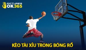 Kèo Tài Xỉu bóng rổ