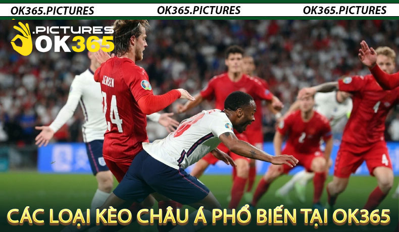 Các Loại Kèo Châu Á Phổ Biến Tại OK365