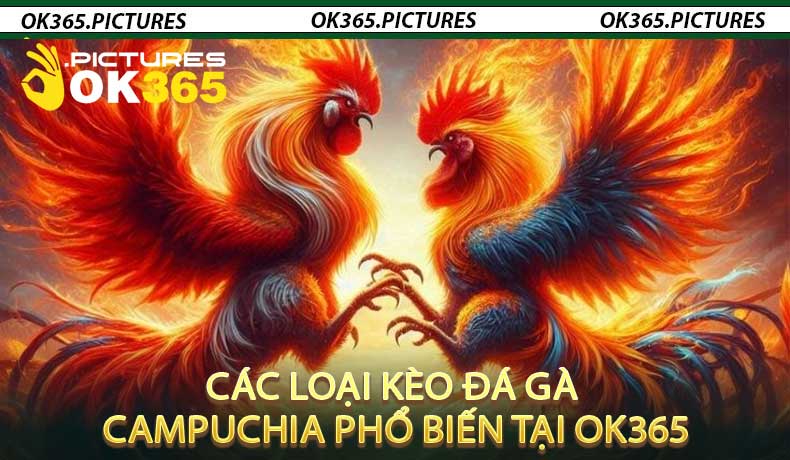 Các Loại Kèo Đá Gà Campuchia Phổ Biến tại OK365