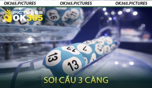 Lô 3 càng